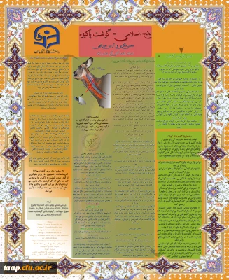 مقاله آقای مجتبی فکری