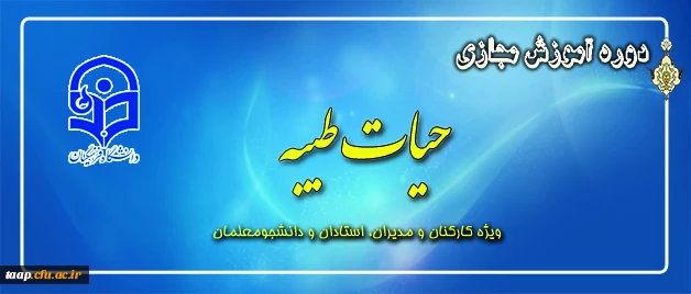 جشنواره های آموزشی مجازی با رویکردی به طرح معرفتی حیات طیبه تابستان 94 2