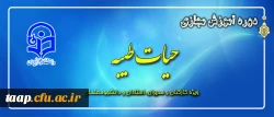 جشنواره های آموزشی مجازی با رویکردی به طرح معرفتی حیات طیبه تابستان 94 3