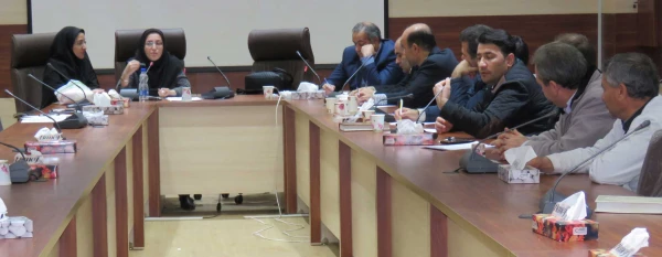 کارگاه آموزشی عوامل افسردگی واسترس زا در محیط کار