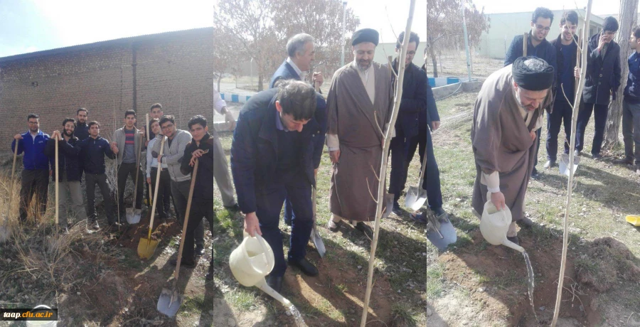 کاشت 200 اصله نهال در محوطه پردیس علامه امینی(ره)