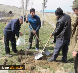 کاشت 200 اصله نهال در محوطه پردیس علامه امینی(ره)