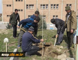 کاشت 200 اصله نهال در محوطه پردیس علامه امینی(ره)