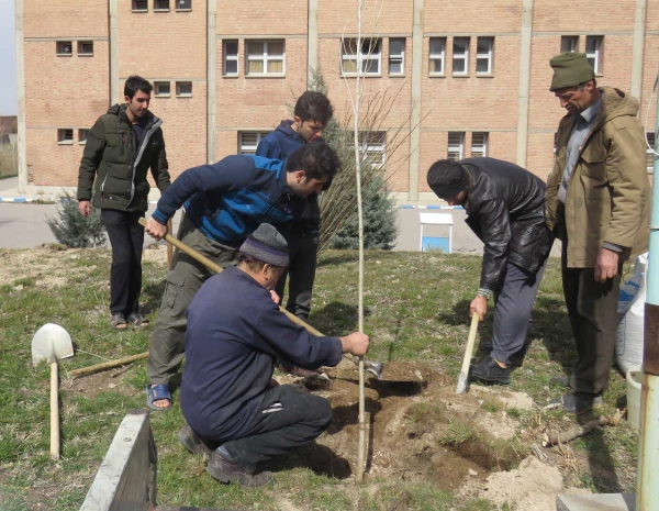 کاشت 200 اصله نهال در محوطه پردیس علامه امینی(ره)