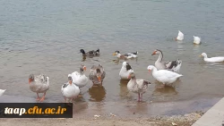 صعود به کوه عون ابن علی(عینالی)