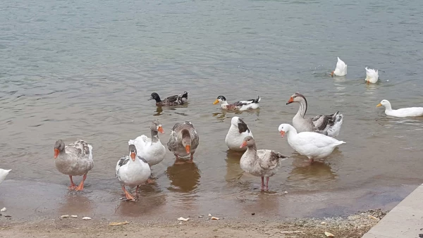 صعود به کوه عون ابن علی(عینالی)