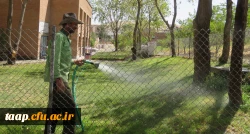 آخرین اقدامات برای افزایش سطح کیفی سراهای دانشجوئی