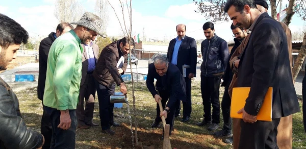 گرامی داشت روز درختکاری