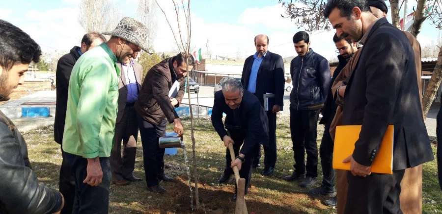 گرامی داشت روز درختکاری