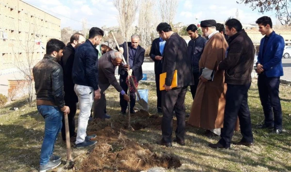 گرامی داشت روز درختکاری