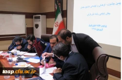 مرحله استانی بیست و نهمین جشنواره فرهنگی و اجتماعی