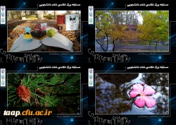 تصاویر منتخب مسابقه عکاسی شات دانشجویی