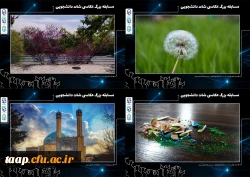 تصاویر منتخب مسابقه عکاسی شات دانشجویی