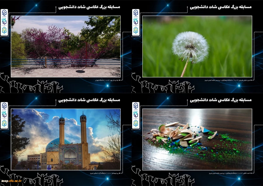 تصاویر منتخب مسابقه عکاسی شات دانشجویی