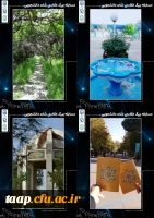تصاویر منتخب مسابقه عکاسی شات دانشجویی