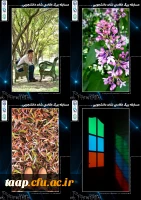 تصاویر منتخب مسابقه عکاسی شات دانشجویی