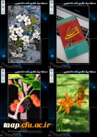 تصاویر منتخب مسابقه عکاسی شات دانشجویی