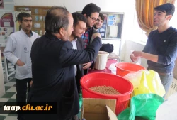 بازارچه دانشجویی به مناسبت هفته سراها