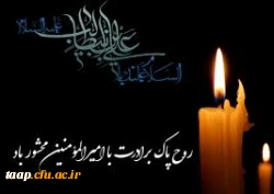 درگذشت برادر بزرگوارتان را تسلیت عرض می کنیم...

 2