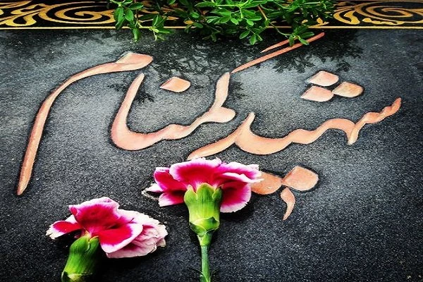 آیین استقبال و وداع با شهید گمنام 5