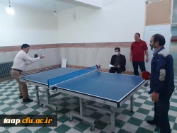 امور دانشجویی پردیس به مناسبت هفته تربیت بدنی مسابقه دارت و تنیس روی را در بین اساتید و کارکنان برگزار کرد.  3
