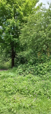 اردوی روزه دو فرهنگی و ورزشی دانشگاه فرهنگیان پردیس علامه امینی برگزار شد. 10