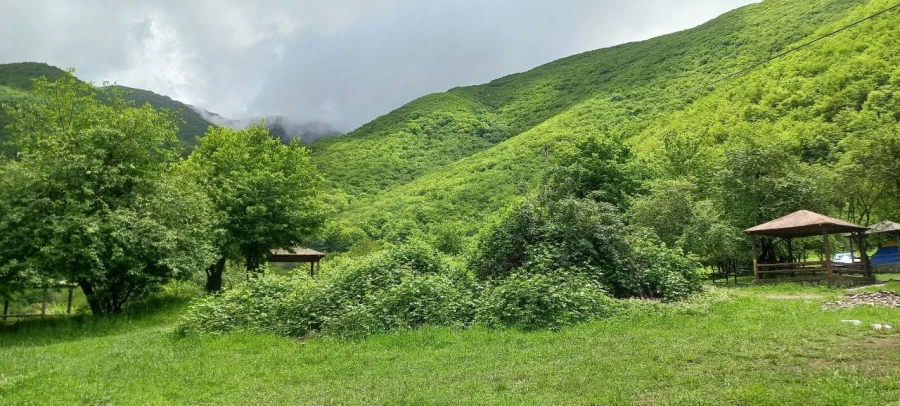 اردوی روزه دو فرهنگی و ورزشی دانشگاه فرهنگیان پردیس علامه امینی برگزار شد. 11