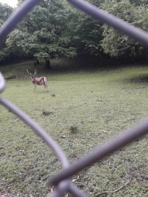 اردوی روزه دو فرهنگی و ورزشی دانشگاه فرهنگیان پردیس علامه امینی برگزار شد. 14