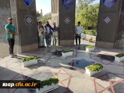 همایش پیاده روی استادان، کارکنان و دانشجو معلمان پردیس علامه امینی  5