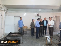 بازدید دکتر انصاری راد از آماده سازی پردیس علامه امینی تبریز برای بازگشایی دانشگاه در نیمسال تحصیلی 1401 5