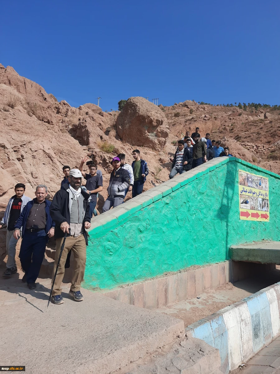 برگزاری همایش کوهپیمایی به مناسبت گرامیداشت هفته تربیت بدنی 6