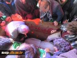 لالایی فرهنگیان تبریز بر پیکر یک شهید گمنام 20