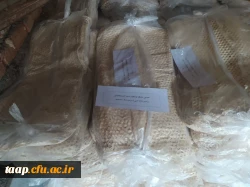 photo_2023-02-01_15-55-23