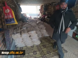 photo_2023-02-01_15-55-24