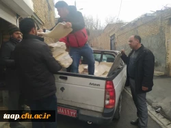 photo_2023-02-01_15-55-25