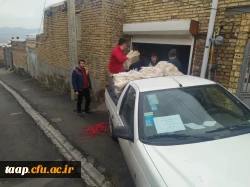 photo_2023-02-01_15-55-29