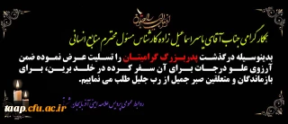 همکار گرامی جناب آقای یاسر اسماعیل زاده 